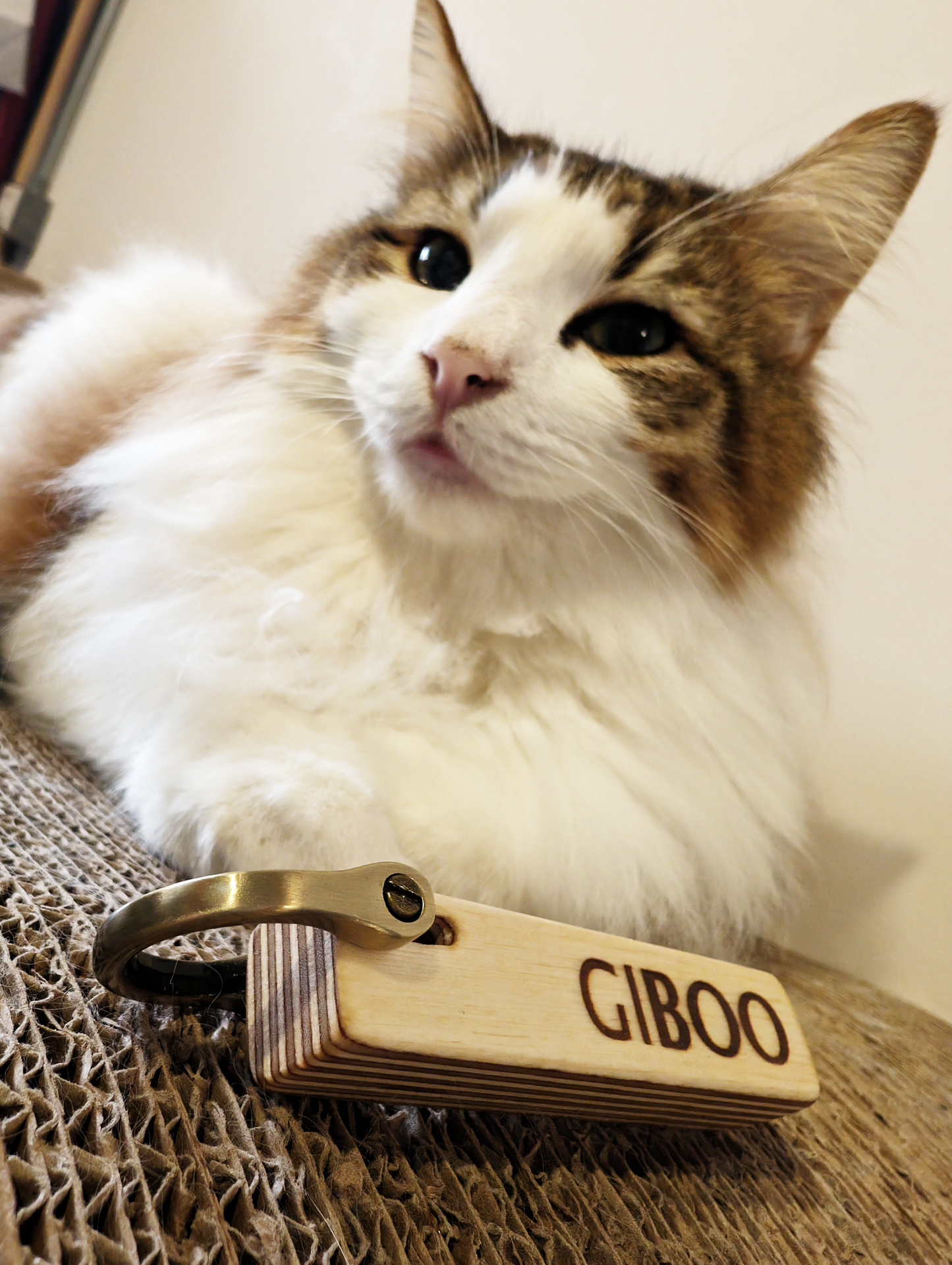 品牌鑰匙圈 GIboo Keychain
