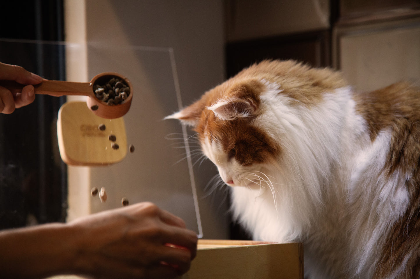 【 組合】小Box+大Box 各一個