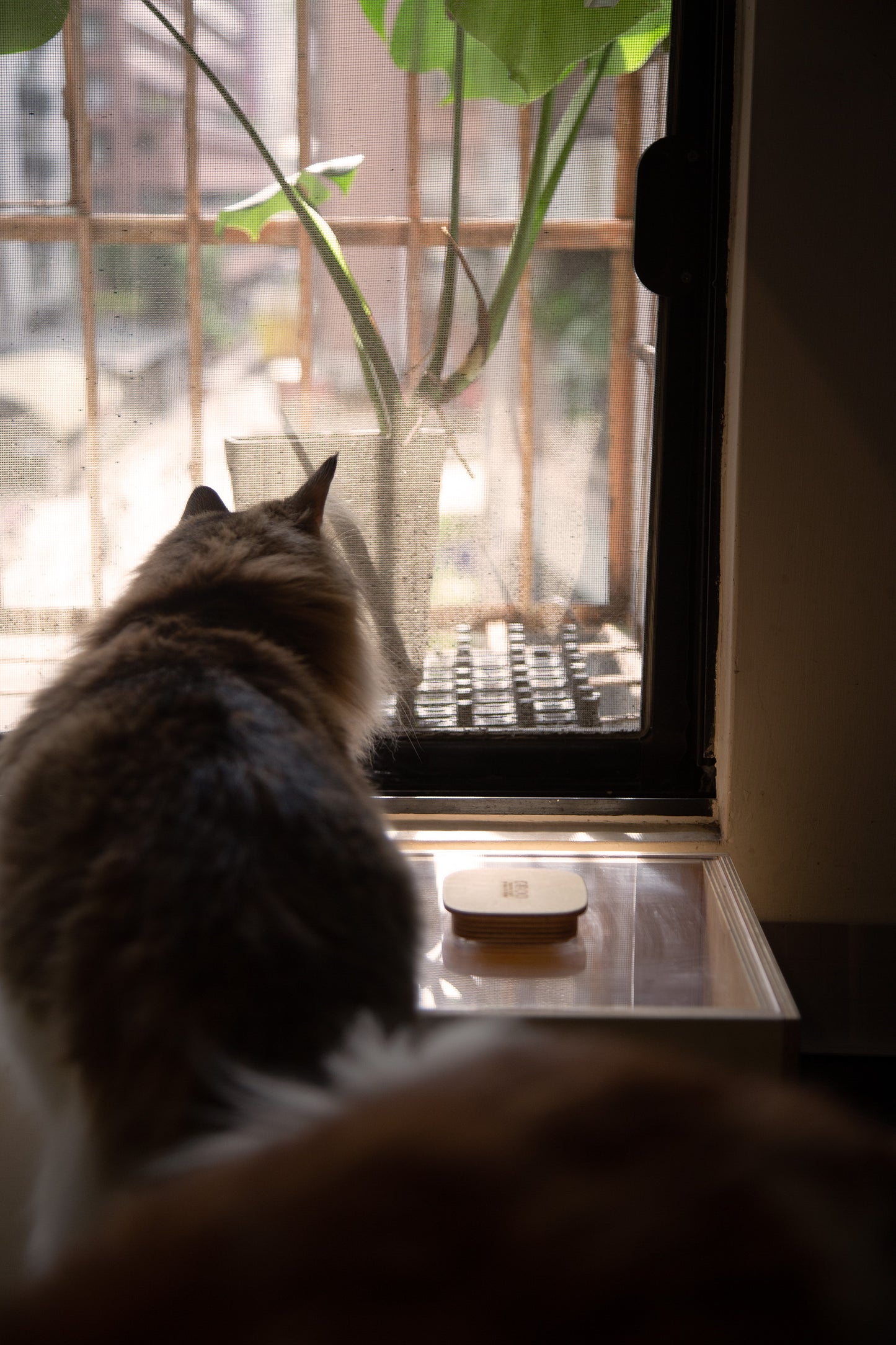 GIBOO Box 萬用貯存盒