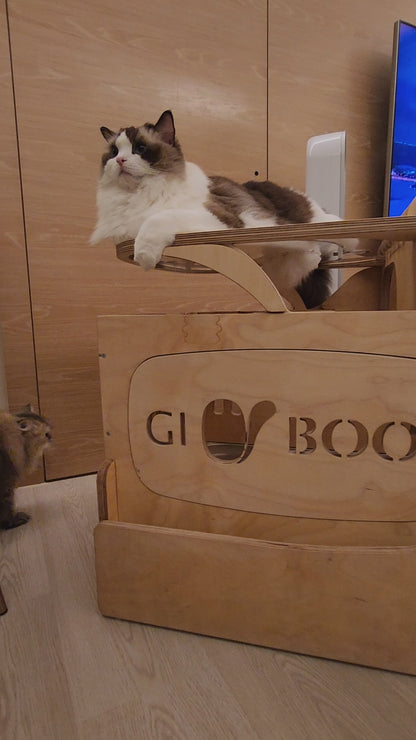 貓•豪便所-加大版(無邊際泳池系列) Infinity Rooftop Pool Version